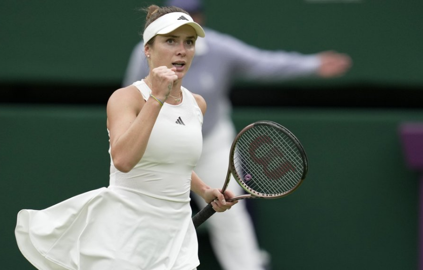 Статус Еліни Світоліної